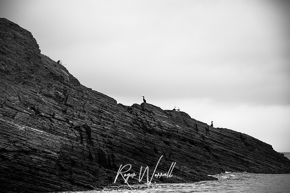 Wales 2017 - Cardigan - Aberporth - Tresaith-14.jpg