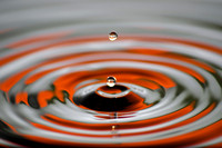 Splash