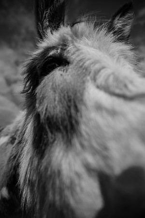 Head shot.jpg