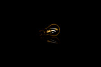 Bulb.jpg