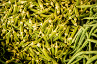 Okra.jpg