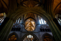 DSC_2231.jpg