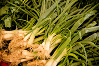 Spring Onion.jpg