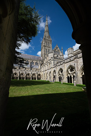DSC_2258.jpg
