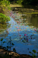 DSC_9561.jpg