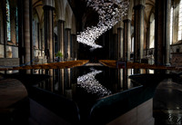 In Reflection