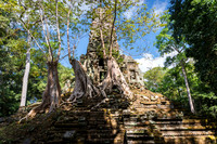 DSC_9354.jpg