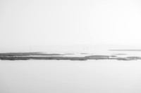 Solitude.jpg