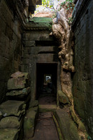 DSC_9445.jpg