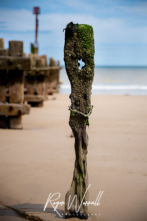 DSC_2755.jpg