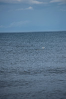 DSC_2853.jpg