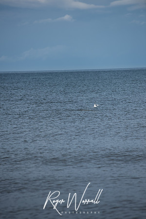 DSC_2853.jpg