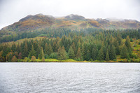 DSC_4407.jpg