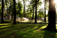 DSC_7797-2.jpg