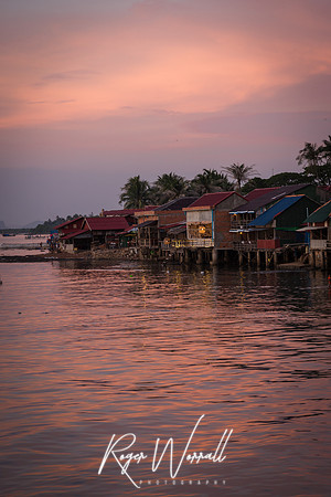 DSC_9797.jpg