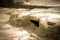 DSC_7819-2.jpg