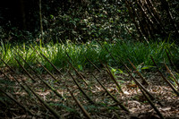 DSC_7817-2.jpg