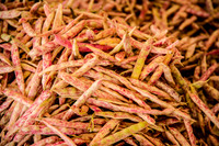 Shelling Beans.jpg