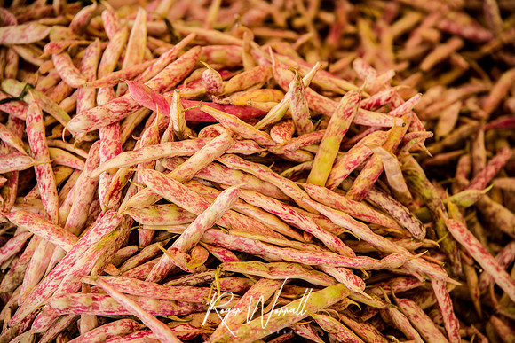 Shelling Beans.jpg