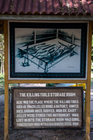 DSC_9545.jpg