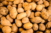 Potatoes.jpg