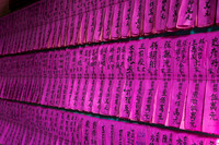 Prayer Flags.jpg
