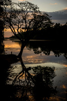 DSC_9494.jpg