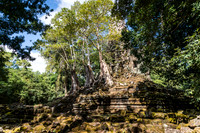 DSC_9355.jpg