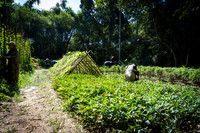 DSC_7853-2.jpg