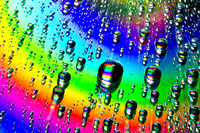 Catch the Rainbow