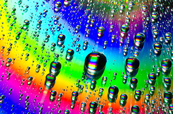 Catch the Rainbow