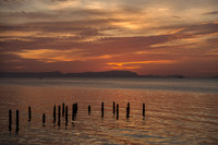 DSC_9792.jpg