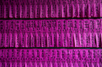 Pink Prayer Flags.jpg
