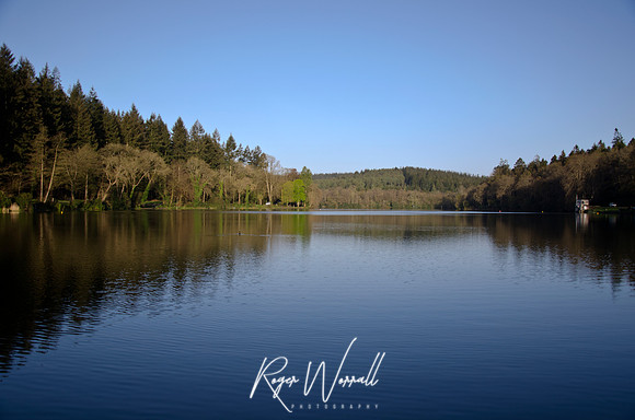 Shearwater Lake