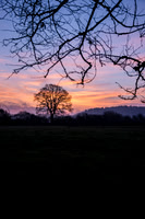 Sunrise-2.jpg