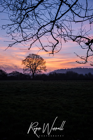 Sunrise-2.jpg