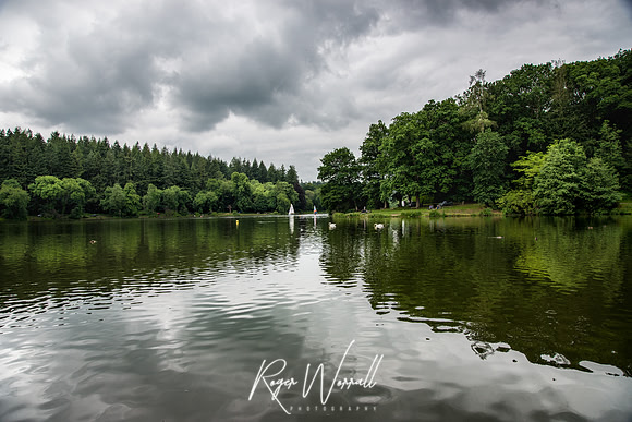 Shearwater Lake.jpg