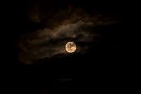 Moon.jpg