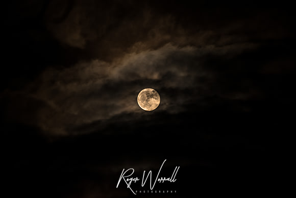 Moon.jpg