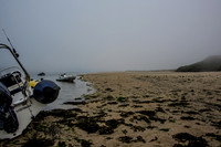 Rock Camel Estuary.jpg