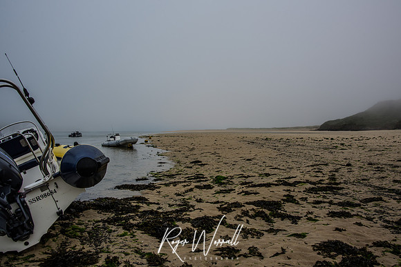 Rock Camel Estuary.jpg