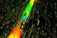 Rainbow Drops