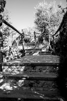 Leading lines-2.jpg